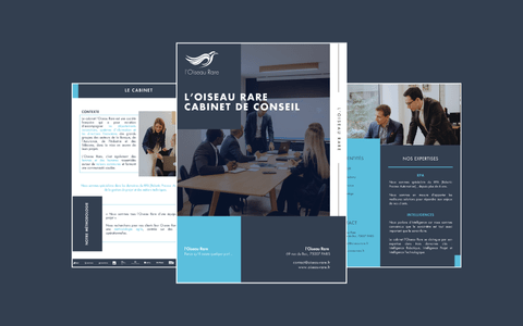 Image pour la page de téléchargement de la brochure du cabinet de conseil l'Oiseau Rare